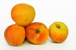 APRICOT 1