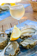 fresh oysters and a glass of wine fresh oysters and a glass of wine