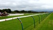horse racing