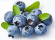 Bilberry on a white background