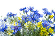 Sommerblumen #9