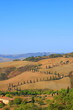 Foto: Zypressen,Kurve,Hügellandschaft,Toskana,Val d Orcia,La Foce Zypressen,Kurve,Hügellandschaft,Toskana,Val d Orcia,La Foce
