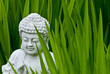 Buddha shows the way Buddha shows the way
