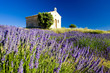 chapel, Plateau de Valensole, Provence, France