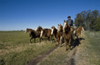 campo 12