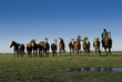 campo 13