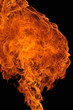 Feuer