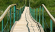 The long foot rural bridge through a backwater.