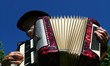 accordéoniste accordéoniste