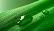 Blatt, Tropfen, Leaf