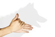 Foto: Hand shadow Hand shadow