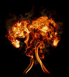 Flammen Atompilz