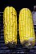 Foto: Mais vom Grill Mais vom Grill