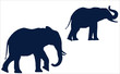 Elephants