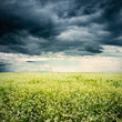 bad weather