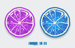 Cut lemon on modern background