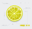 Cut lemon on modern background