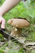 Cutting cep