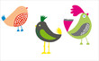 Oiseaux