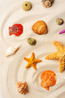 colorful seashells and starfishes on the sand