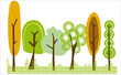 Arbre de couleur