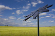 Flower shaped solar panel against rural backdrop