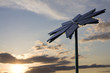 Flower shaped solar panel with setting sun
