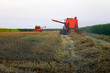 Combines harvesting Wheat