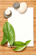 advertising poster