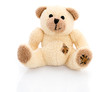 Ours en peluche