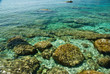 Davia beach - Corsica Davia beach - Corsica