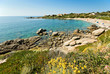 Corsica Corsica