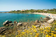 Corsica Corsica