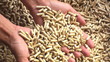 Video: hände voll mit holzpellets hände voll mit holzpellets
