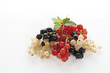 Currants, elevated view