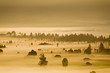 Germany, Bavaria, Murnauer Moos, morning fog