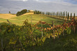 Italy, Tuscany, Wine estate