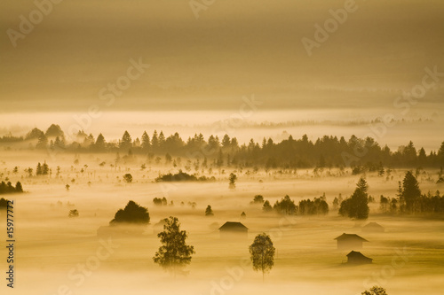 Photo: Germany, Bavaria, Murnauer Moos, morning fog Germany, Bavaria, Murnauer Moos, morning fog