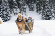 Italy, South Tyrol, Seiseralm, Santa Claus and children taking a sleigh ride