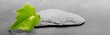 bandeau horizontal, environnement naturel vert