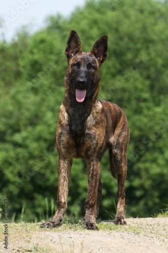 400_F_15986769_IE2HCBacHnyBpzYyDsrVTxAmcJQaXxIg.jpg