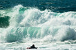 surf