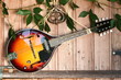 mandoline mandoline