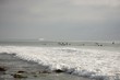 surfers waiting for the wave