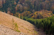 kahlschlag herbst