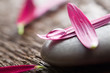 Flower petals