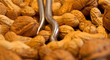 0115_ernussuwalnuss_srgb