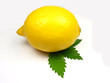 Lemon on white background