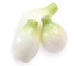 Onions isolated on white background Onions isolated on white background
