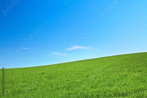 peaceful grassland peaceful grassland